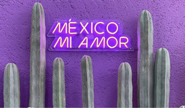 Parede roxa com letreiro luminoso escrito México Mi Amor