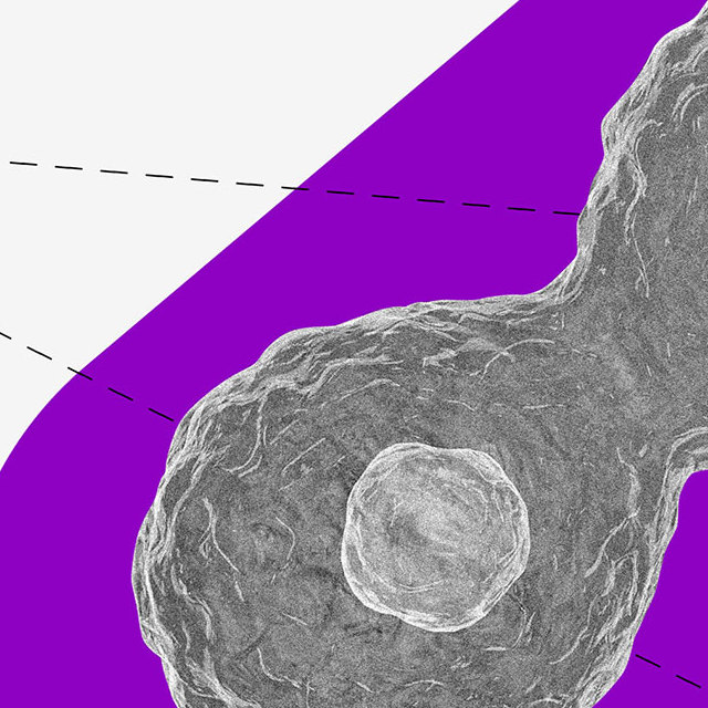 Poupança: uma colagem de célula no microscópio sobre um fundo roxo.