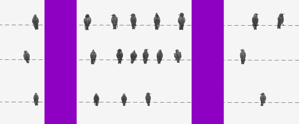 Cadastro Positivo: colagem com pássaros sobre linhas pontilhadas na horizontal e colunas roxas na vertical