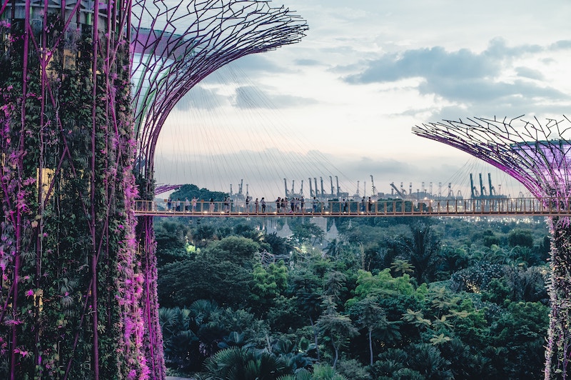 Custo de vida: vista do Supertree Grove, em Singapura, árvores gigantes feitas de metal iluminadas em roxo e erguidas sobre um jardim verde