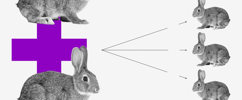 Economia comportamental: dois coelhos com um sinal de mais entre eles. Três setas saem deles apontando para outros três coelhos