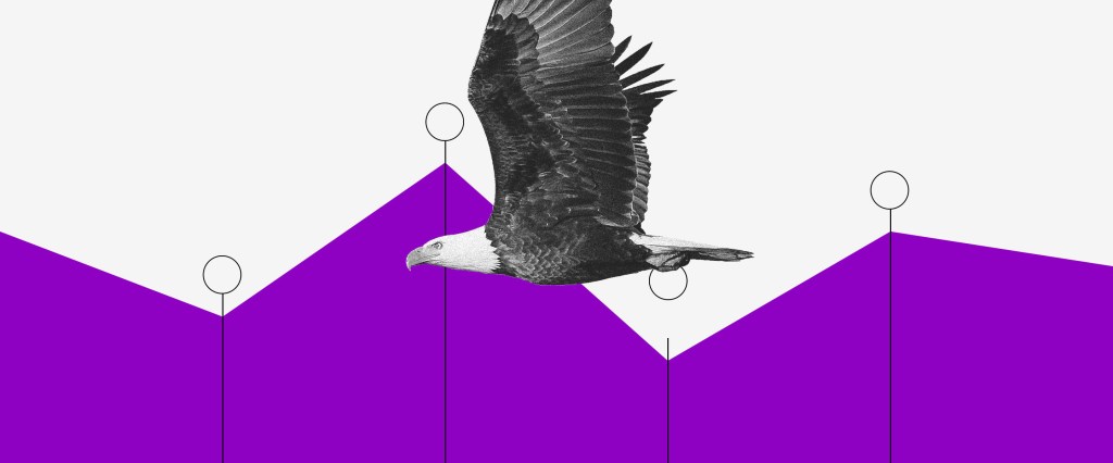 Fatca e CRS: águia voando para a esquerda à frente de um gráfico roxo
