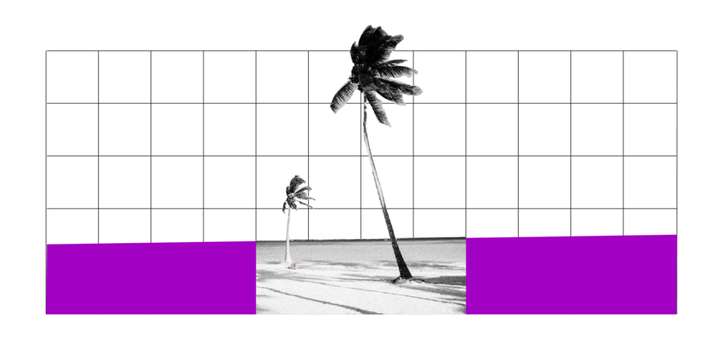 Ilustração de uma praia com dois coqueiros e retângulos roxos ao lado.