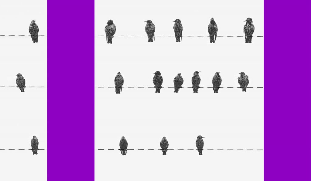 tipos de orçamento: colagem com pássaros sobre linhas pontilhadas na horizontal e colunas roxas na vertical
