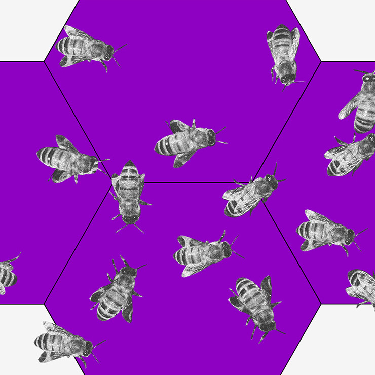 Pandemia: imagem de uma colmeia roxa com várias abelhas espalhadas