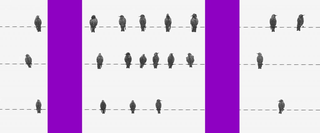 Coronavírus e impostos: imagem de três linhas tracejadas com pássaros sentados. De um lado, uma faixa roxa divide outros pássaros
