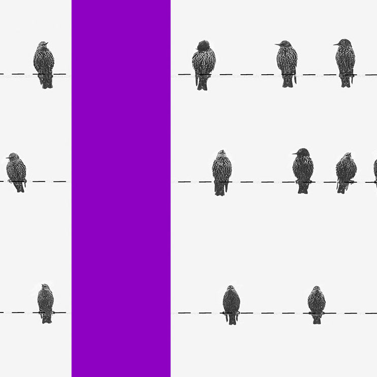 Extrato imposto de renda: ilustração mostra três fios com pássaros pousados sobre eles e dois postes roxos