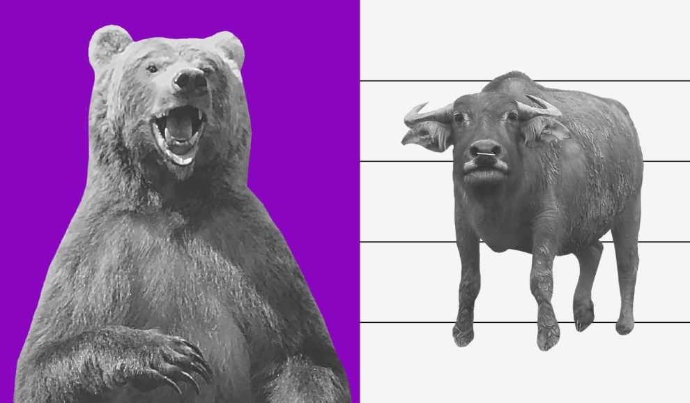 Bear market vs bull market: Imagem de um urso em um fundo roxo do lado esquerdo e do lado direito um touro em um fundo com listras