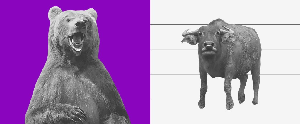 Bear market vs bull market: Imagem de um urso em um fundo roxo do lado esquerdo e do lado direito um touro em um fundo com listras