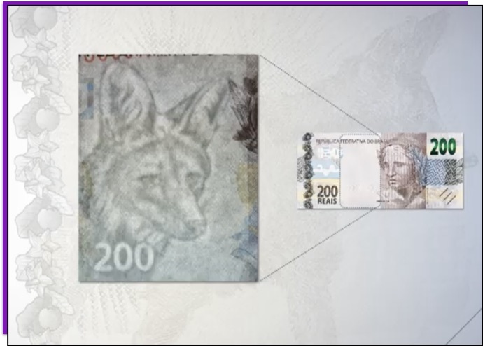 Detalhe da nota de 200 reais que mostra a marca d'água do lobo-guará