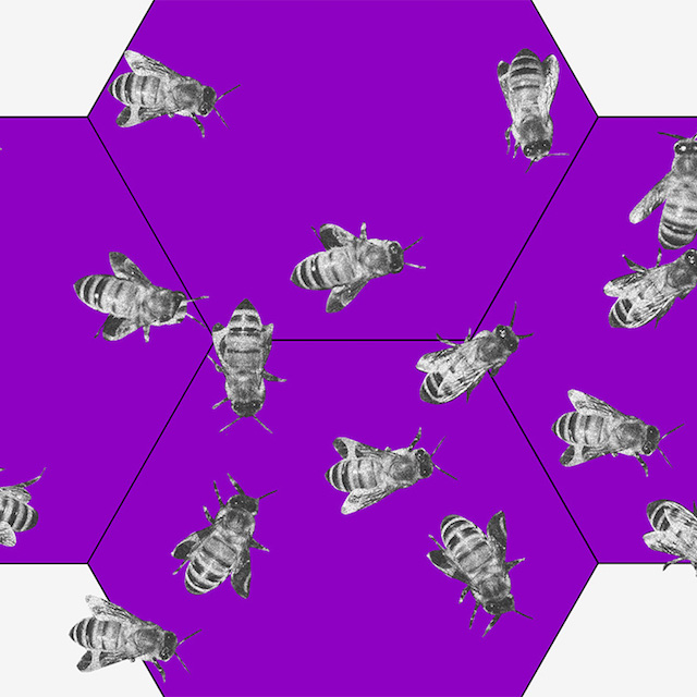 ESG: imagem de uma colmeia roxa com várias abelhas espalhadas