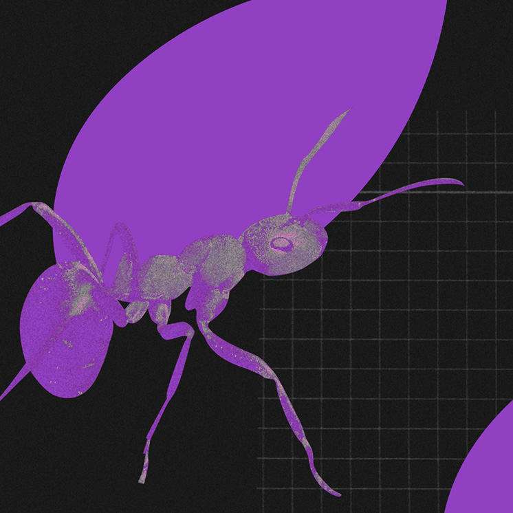ilustração de formiga carregando uma folha roxa