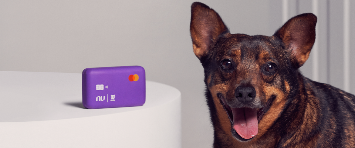 Nubank and Zee.Dog team up to end the longstating battle of dogs chewing credit cards