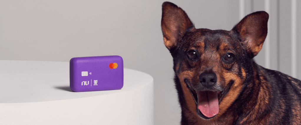 Foto de um cachorro meio caramelo, de língua para fora, ao lado do brinquedo NuDog