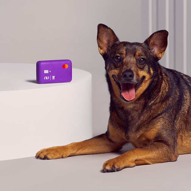 Foto de um cachorro meio caramelo, de língua para fora, ao lado do brinquedo NuDog