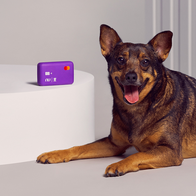 Nubank and Zee.Dog team up to end the longstating battle of dogs chewing credit cards