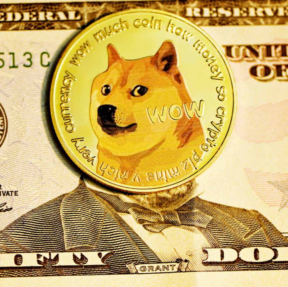 imagem mostra moeda com cachorro Shiba estampado sobre uma nota de dólar.