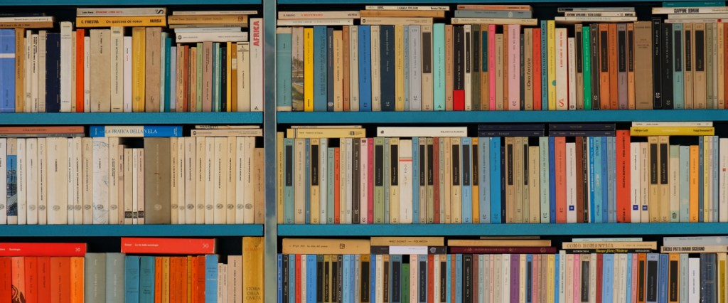 imagem mostra uma estante azul cheia de livros