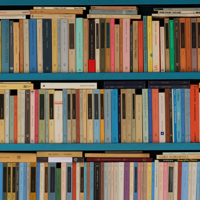 imagem mostra uma estante azul cheia de livros
