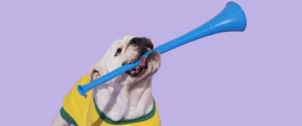 Foto com fundo roxo mostra um bulldog francês branco, vestido com uma camiseta da verde e amarela, segurando uma vuvuzela azul.