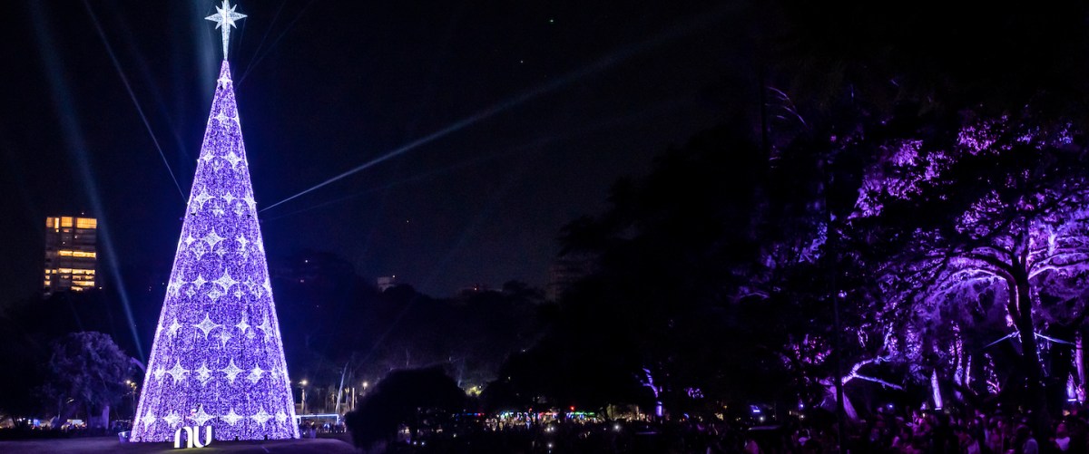 9 Curiosidades sobre a árvore de Natal do Ibirapuera