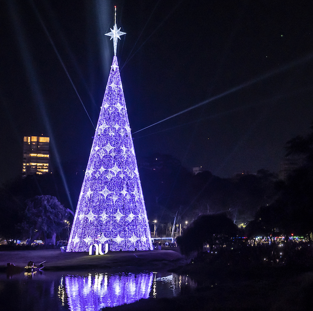 Foto mostra a árvore de Natal do Ibirapuera em tons de roxo e um grande logo do Nubank no pé dela. É noite e as árvores refletem um tom de luz roxo.