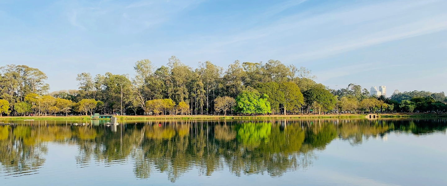 Foto de Jaime Dantas. Árvores verdes ao lado do lago sob o céu azul durante o dia, no Parque Ibirapuera.