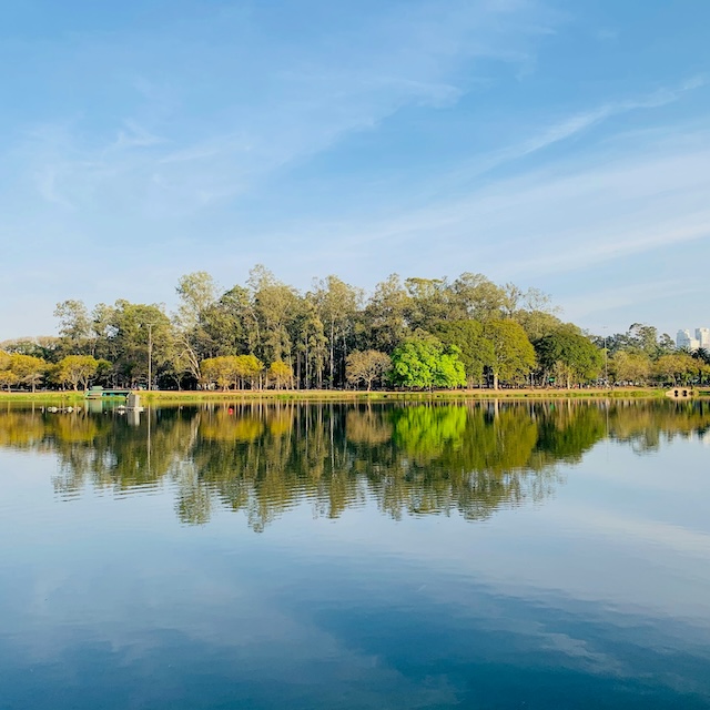 O que fazer no Parque Ibirapuera? Conheça 10 atrações fixas do parque de São Paulo